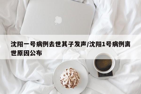 沈阳一号病例去世其子发声/沈阳1号病例离世原因公布