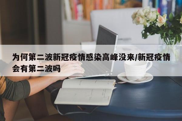 为何第二波新冠疫情感染高峰没来/新冠疫情会有第二波吗