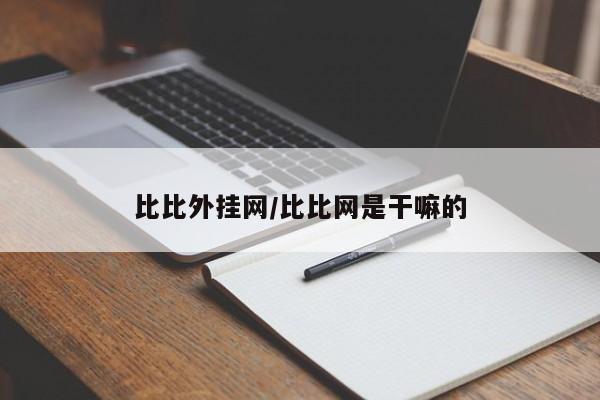 比比外挂网/比比网是干嘛的